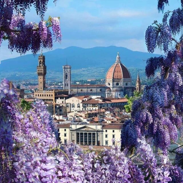 🌸Spring is coming in Florence🌸
Come and visit the city!
.
.
.
#italy_vacations #italy #home #luxury #vacationrentals #tuscanyitaly #tuscanyhills #homespecialist #privatevilla #relaxtime  #holidayseason #doorwaystoitaly #florenceitaly #details #italy_vacations #luxury